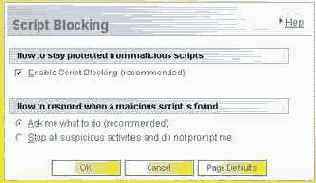 Script Blocking ( )